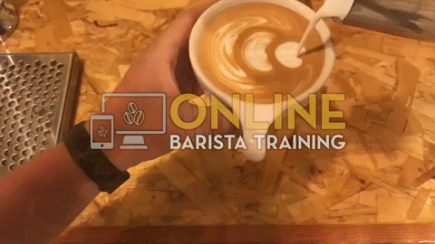 online-barista-training-teaser-video