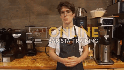 online-barista-training-manual-brewing